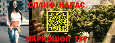 стаф Старая Купавна