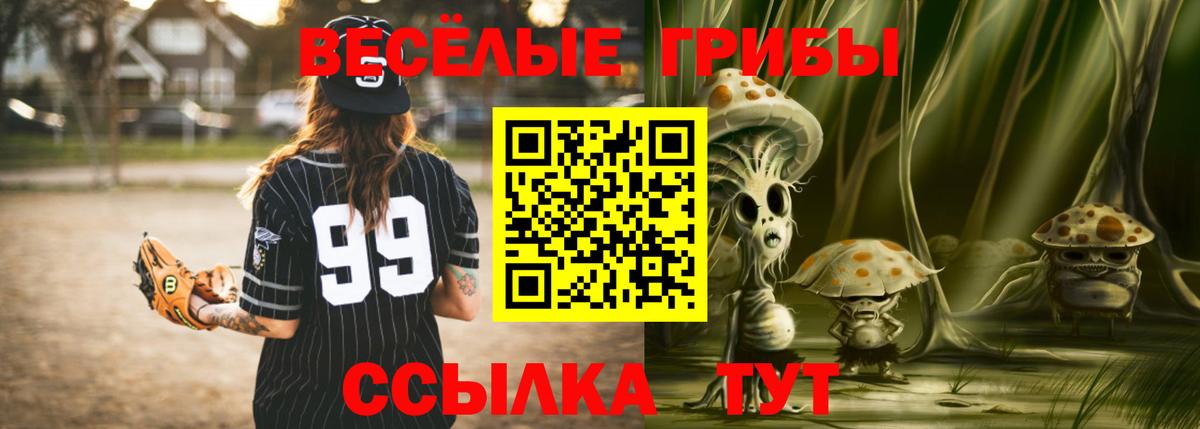 Псилоцибиновые грибы мухоморы  Вход с VPN  Брянск 